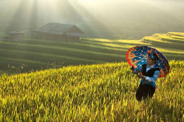 Sapa by bus 02 days 01 night