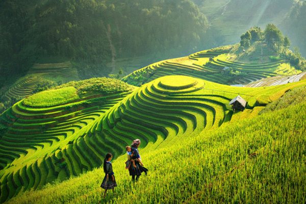 Sapa Easy Trekking 03 nights 02 days